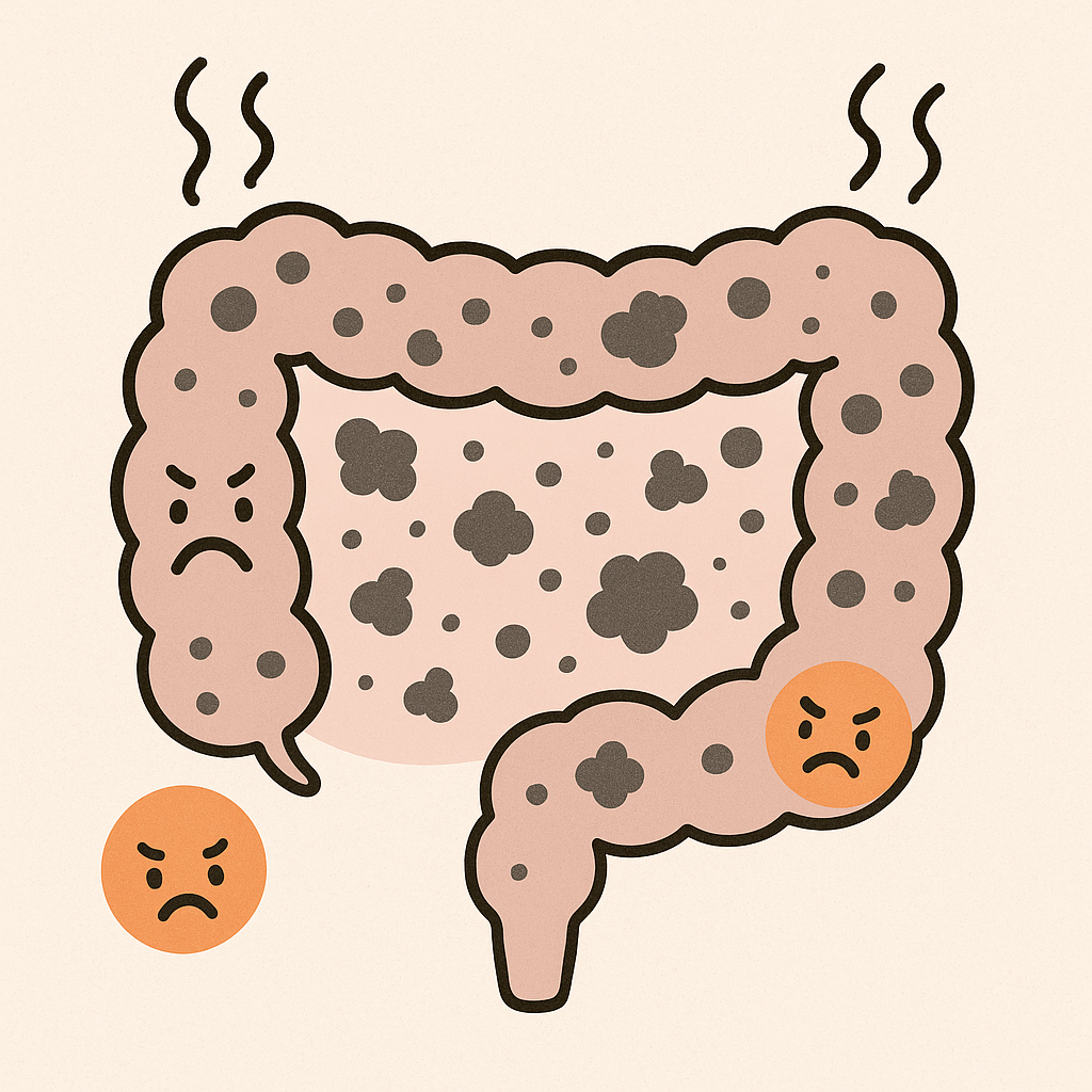 ファイル 6-1.png