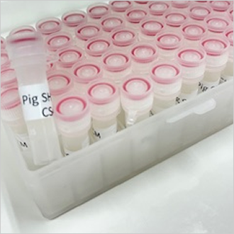 ImS幹細胞培養上清